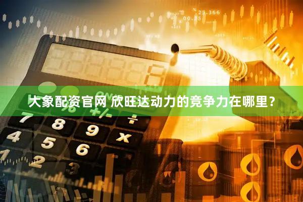 大象配资官网 欣旺达动力的竞争力在哪里？