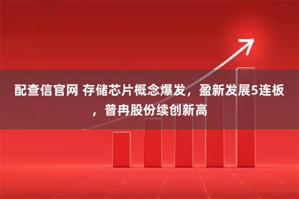 配查信官网 存储芯片概念爆发，盈新发展5连板，普冉股份续创新高