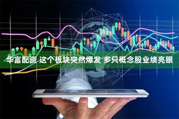 华富配资 这个板块突然爆发 多只概念股业绩亮眼